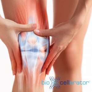 Meniscus Injury