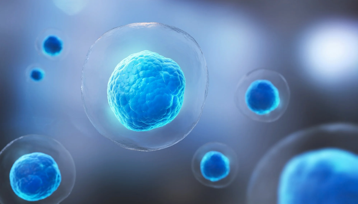 Mesenchymal Stem Cells and Induced Pluripotent Stem Cells as Therapies for Multiple Sclerosis, evaluated the current landscape of MSC treatment for MS patients.