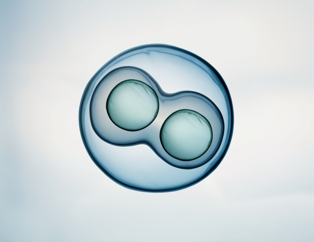 What are Multipotent Stem Cells?